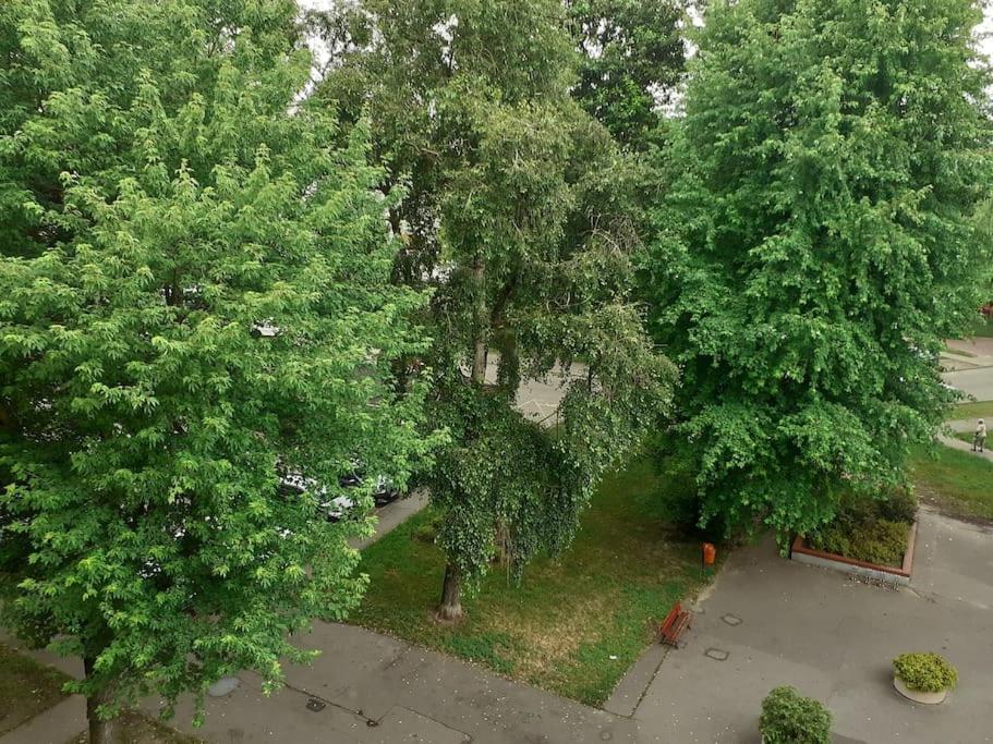 Kawalerka Stare Bielany Varsóvia Exterior foto